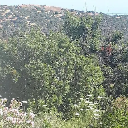 Hotel Panoramic Sea Views & Stunning Akamas Views - With Private Pool, Wifi, Ac & Bbq